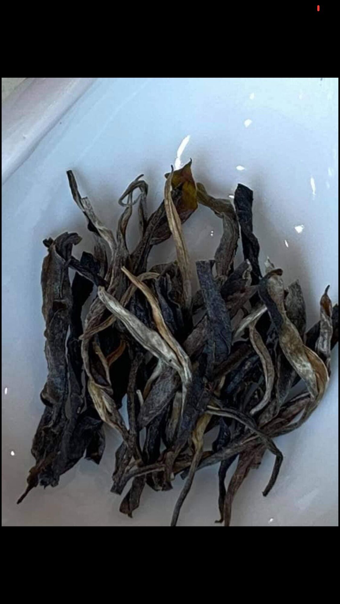 Phổ nhĩ sống thái an