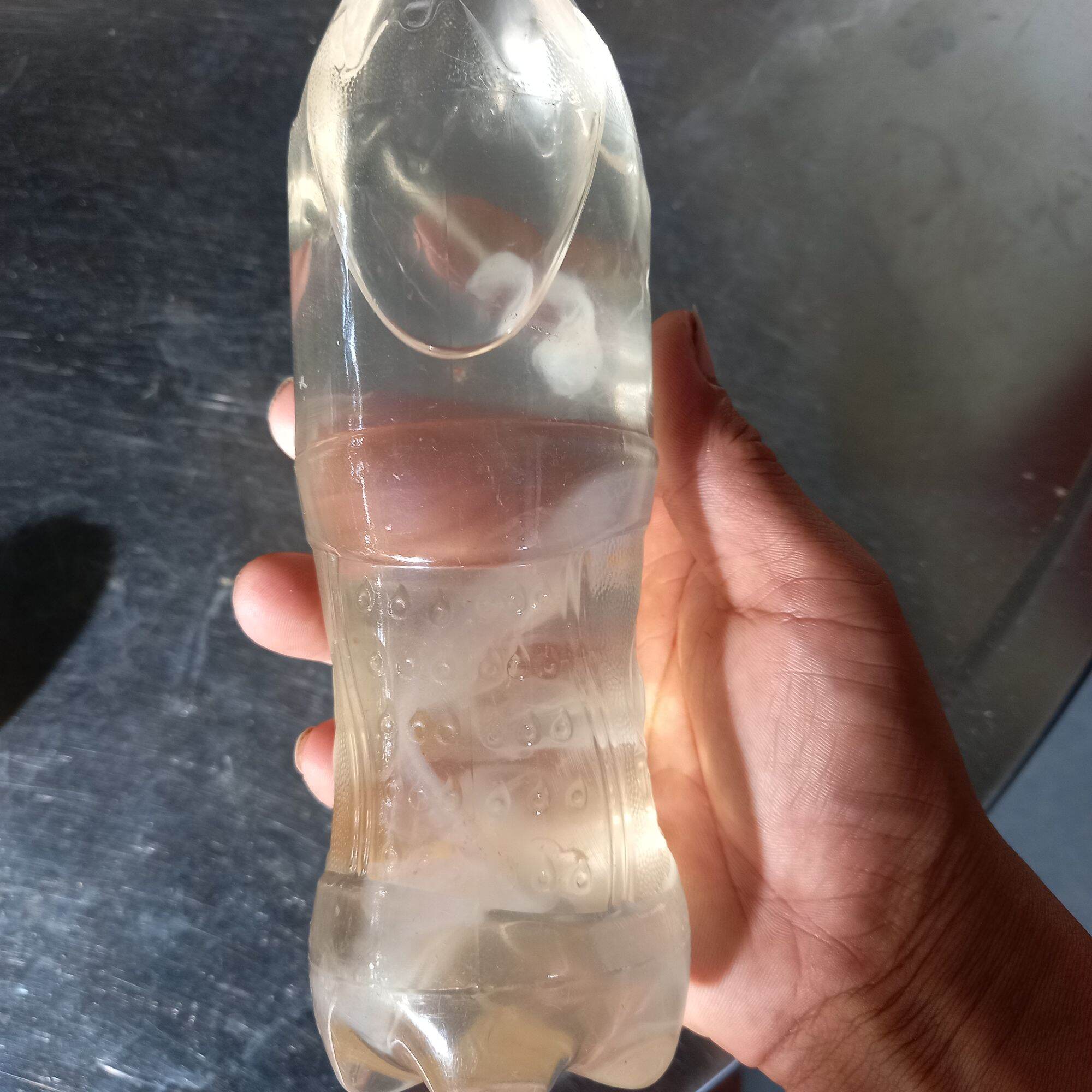 giấm nuôi có con giấm