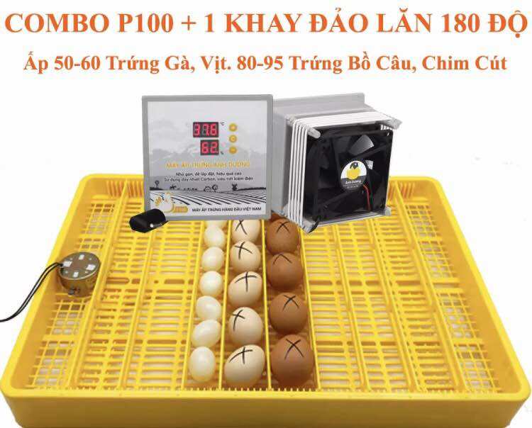 Máy Ấp Trứng Ánh Dương Đảo Tự Động 56 Trứng- máy ấp trứng gà đảo tự động
