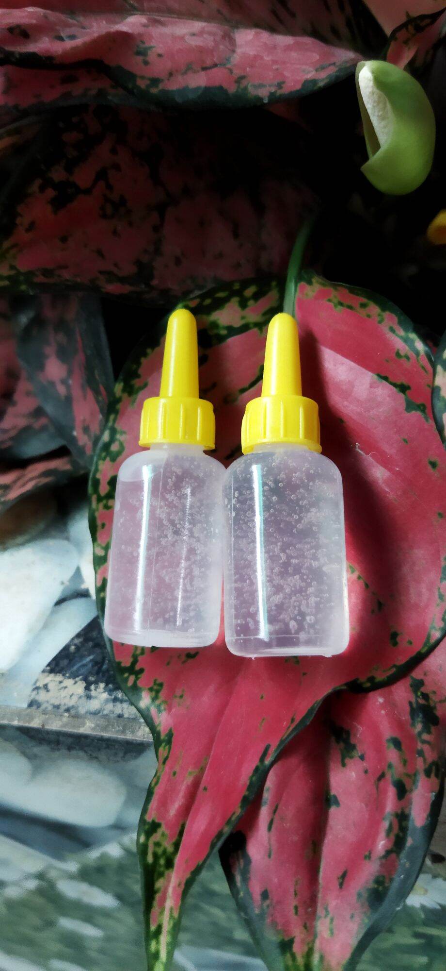 Huyết thanh truyền trắng lọ 10 ml ( dùng để trộn vào kem body để tăng khả năng làm trắng da)