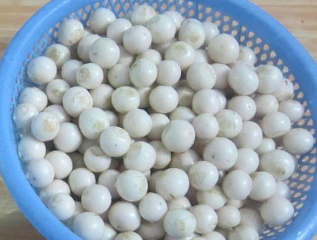 Hạt  cà  pháo trắng  F1 giống  chuẩn