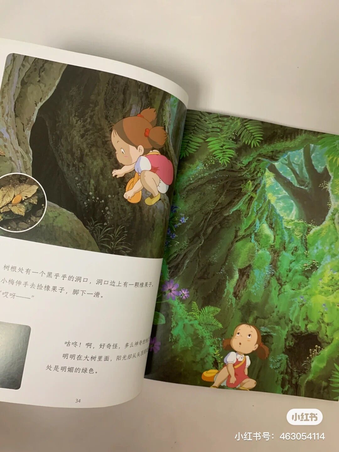 Hàng xóm của tôi là Totoro