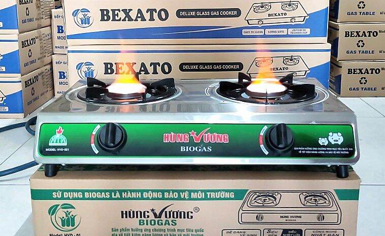 Bếp hồng ngoại biogas đôi mặt inox