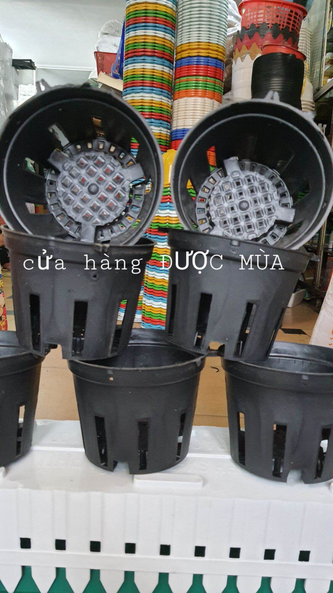 10 chậu nhựa trồng lan phi 14