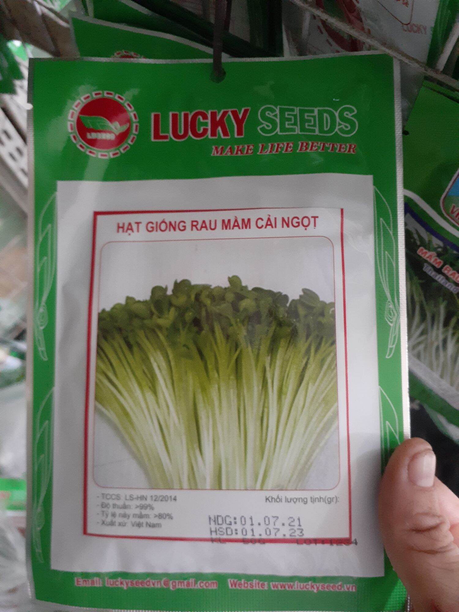 HAT MẦM RAU CẢI NGỌT GÓI 50 GRAM