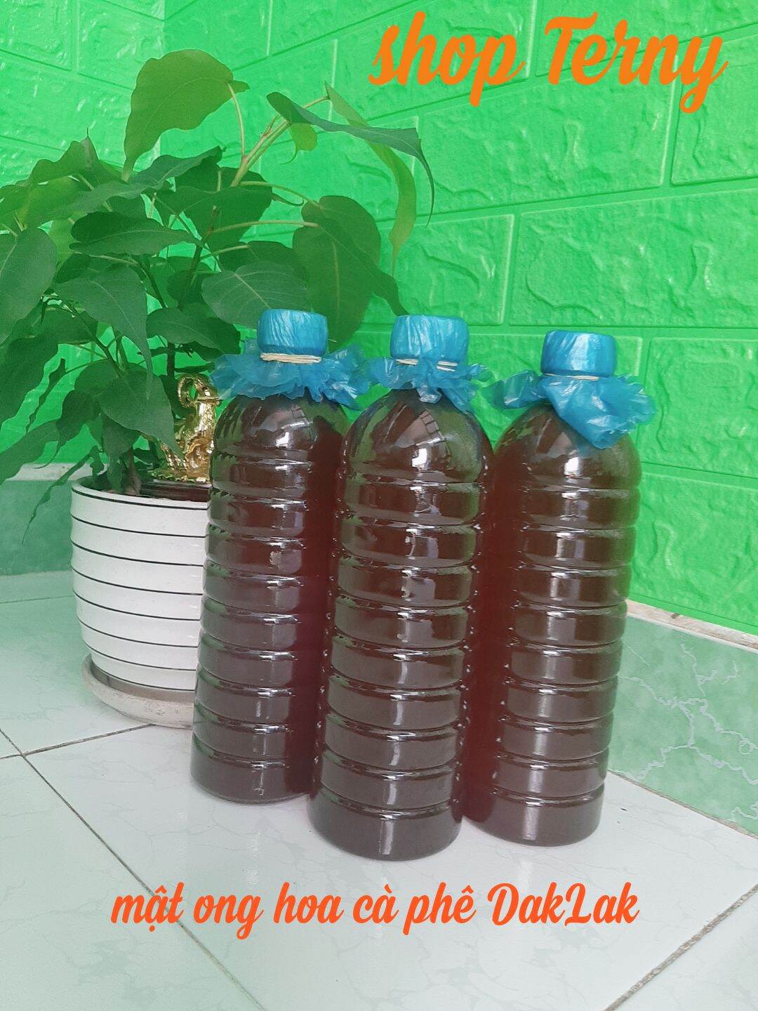 Mật ong hoa cà phê daklak 250k/ 2 lít
