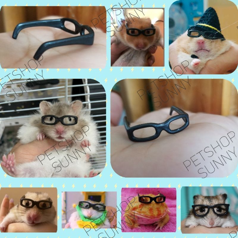 Mắt kính chụp hình hamster, sóc, ếch pacman
