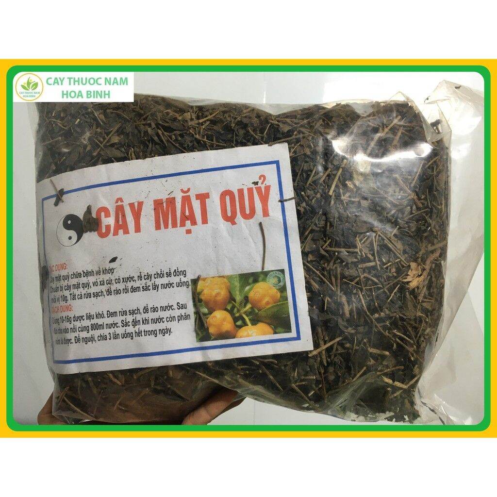 1kg cây mặt quỷ khô sạch (phơi nắng tự nhiên)