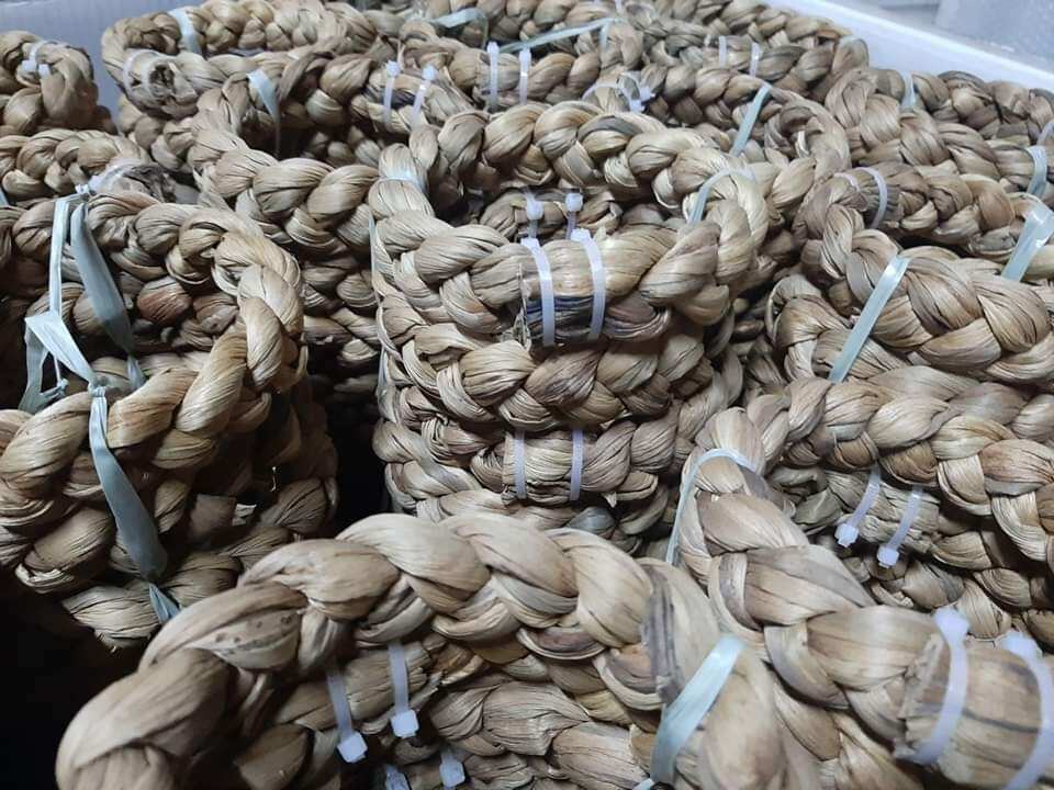 Giá 1 cái đế lục bình dùng để chưng dưa hấu , bưởi , dừa