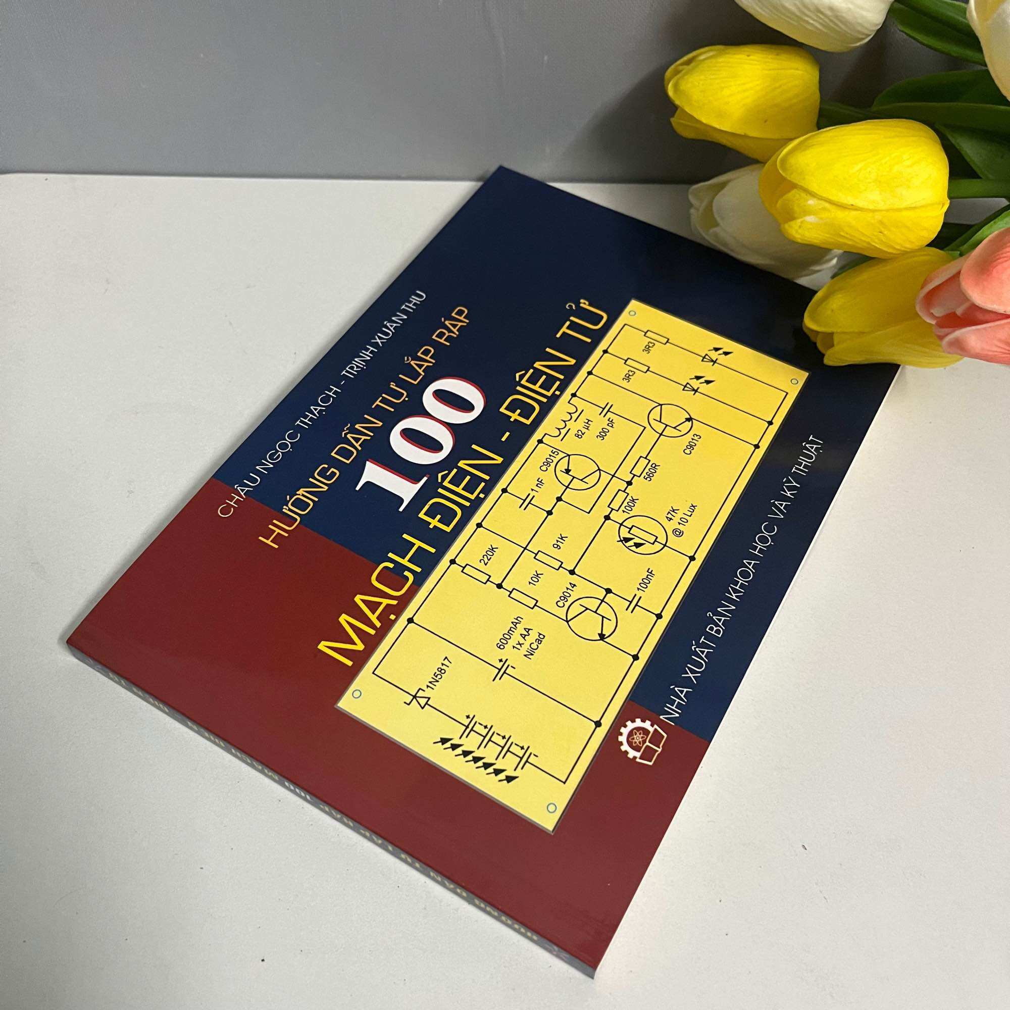 Hướng Dẫn Tự Lắp Ráp 100 Mạch Điện - Điện Tử