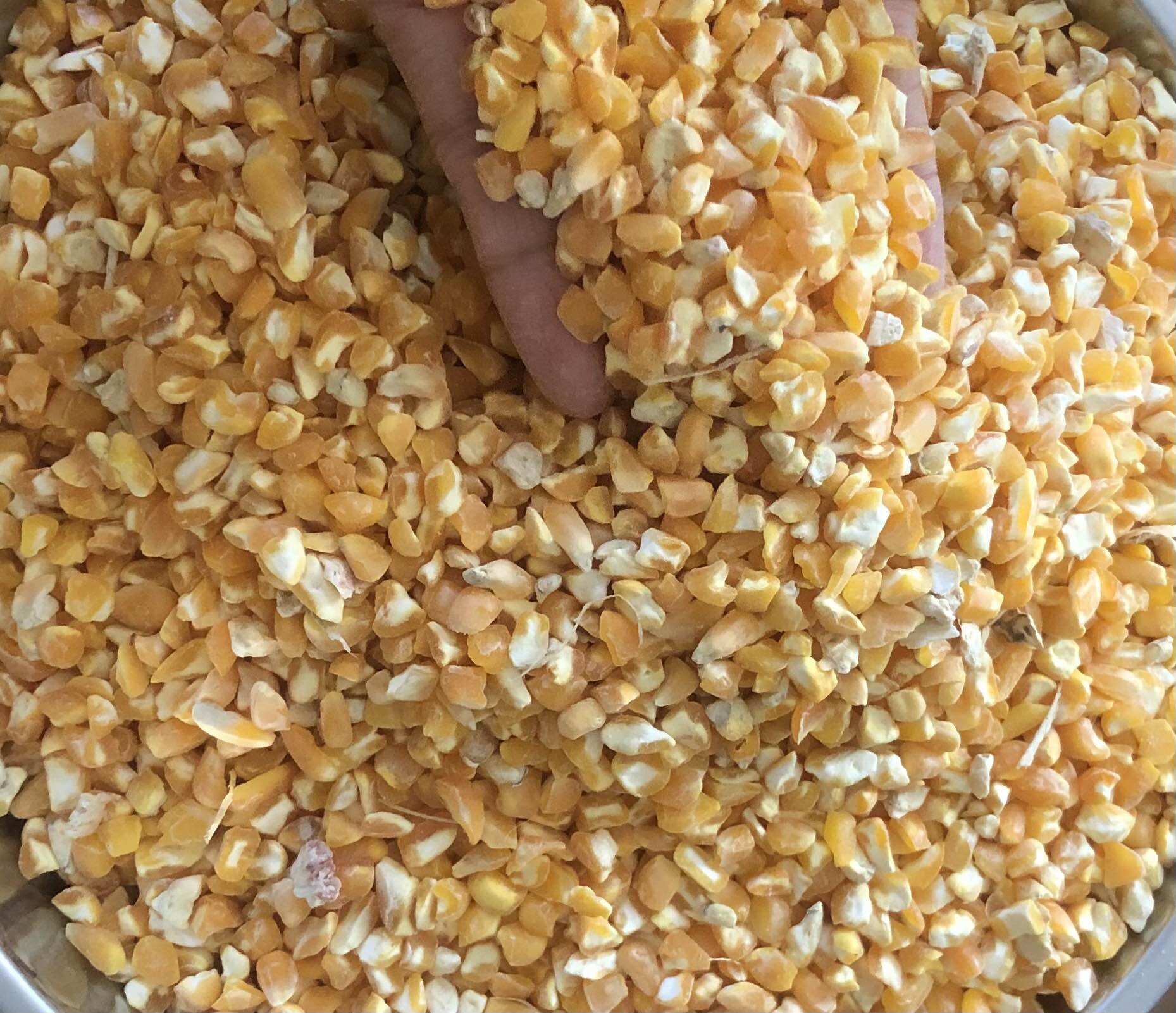 [HCM]Bắp bể to bể đôi 1kg
