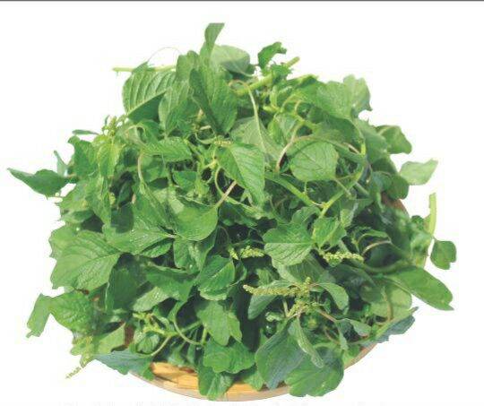 Hạt giống rau dền cơm 10gr