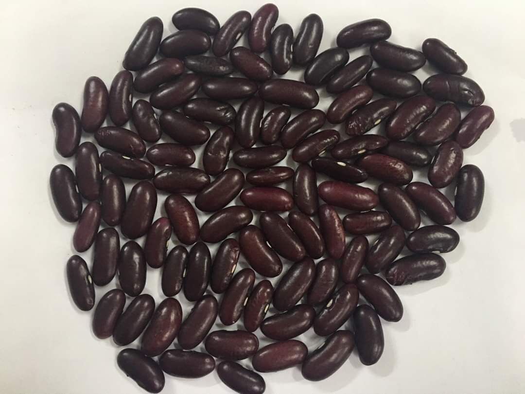 Đậu đỏ hạt to 1kg
