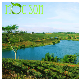 [HCM] 100g Trà Oolong Sữa Thượng Hạng Mộc Sơn