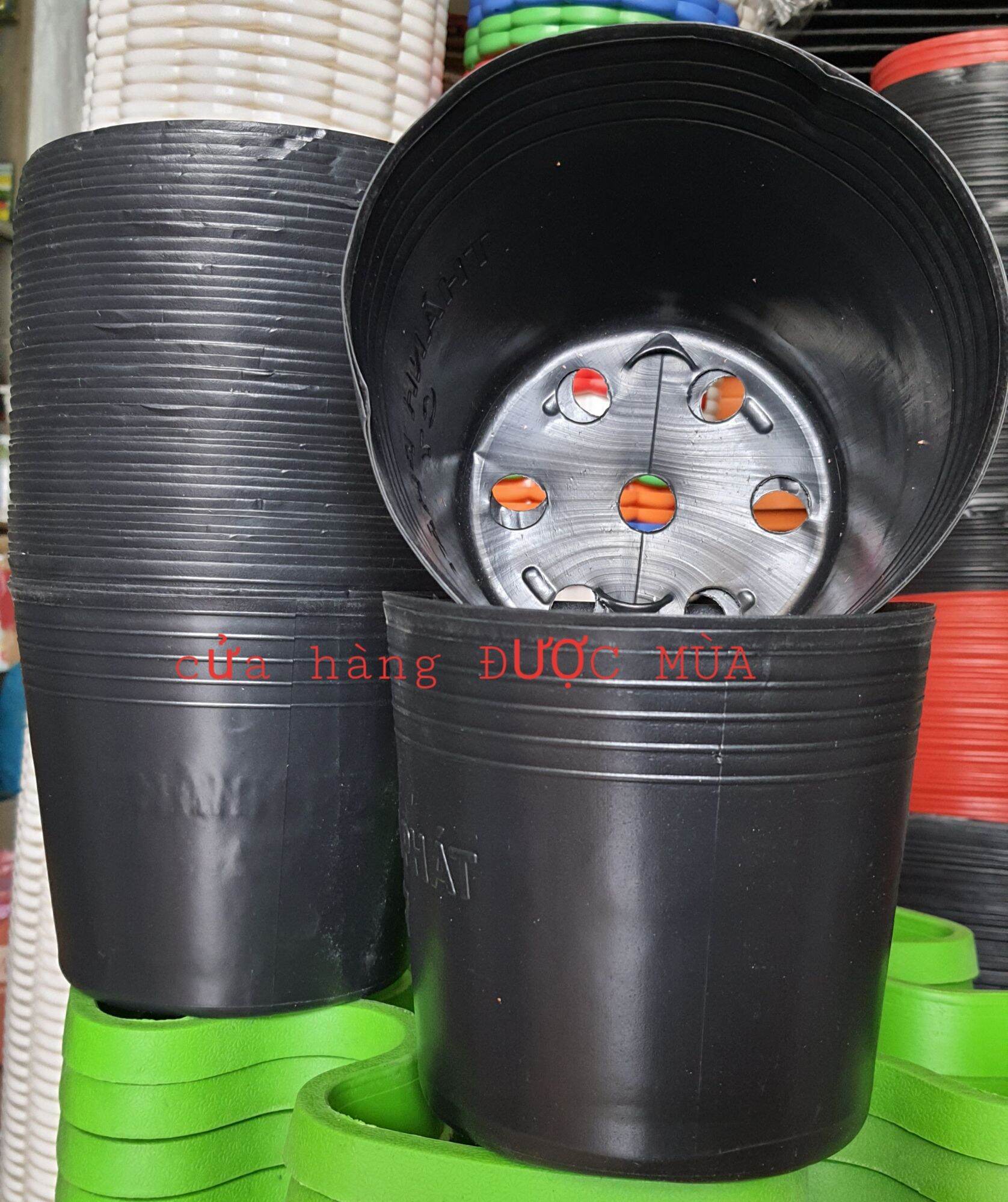 50 chậu nhựa đen C7 - đường kính 16cm cao 14cm