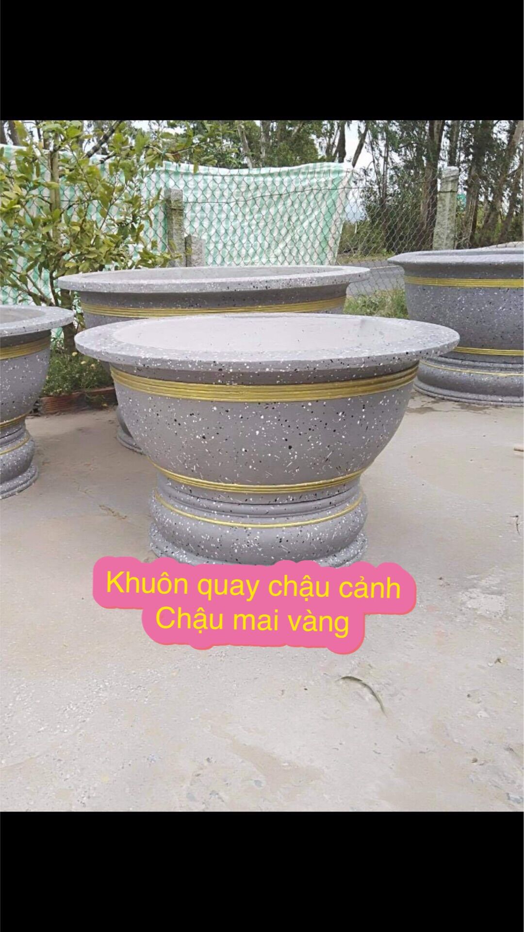 Khuôn chậu cảnh đa năng( khuôn có thể quay chậu 80cm đến 1,1m, chậu cao 45 cm, đôn cao 20 cm)