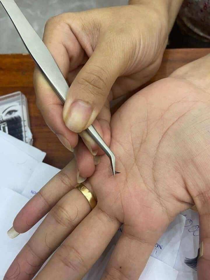 nhíp tách cá heo. nhíp gắp jinyu