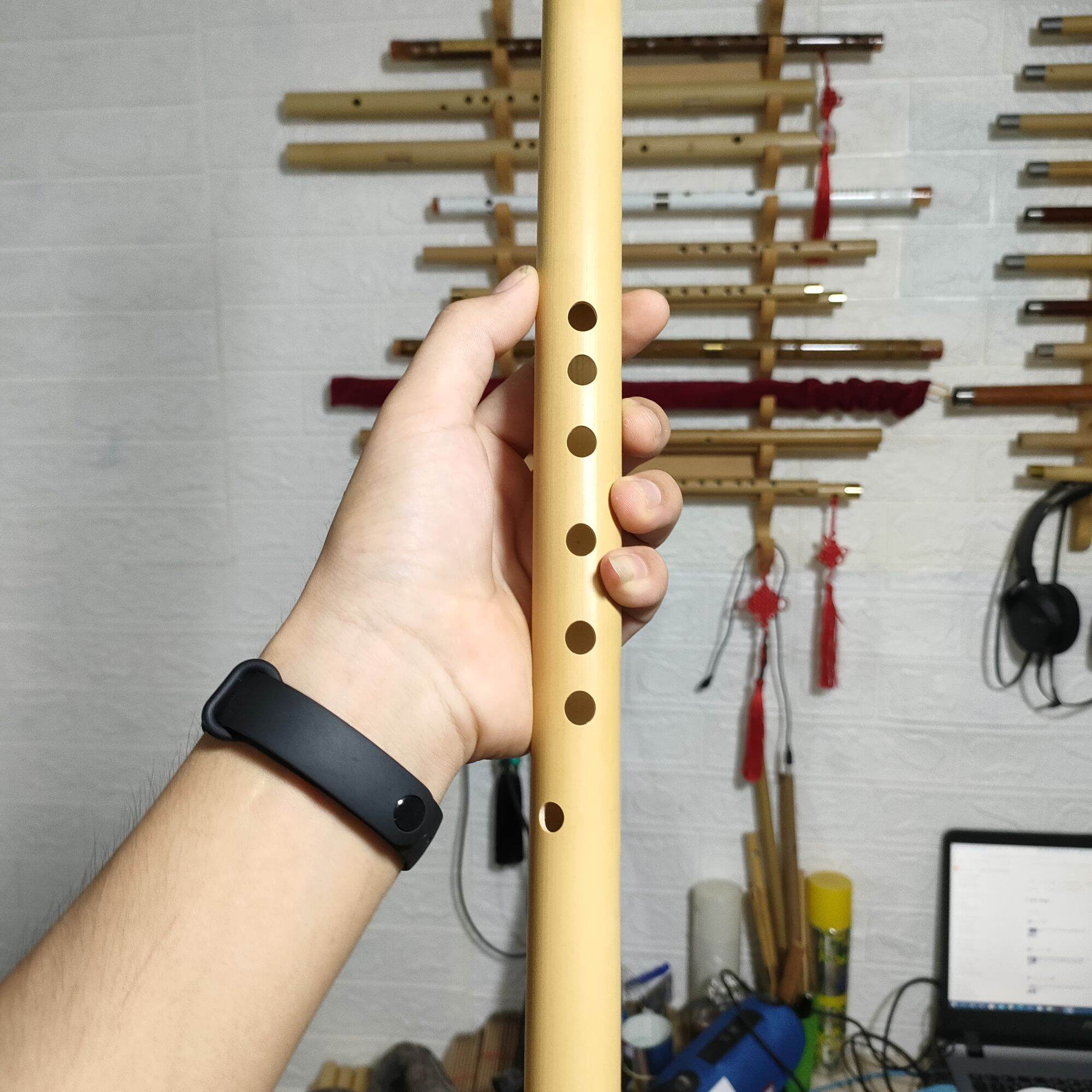 Sáo mèo việt