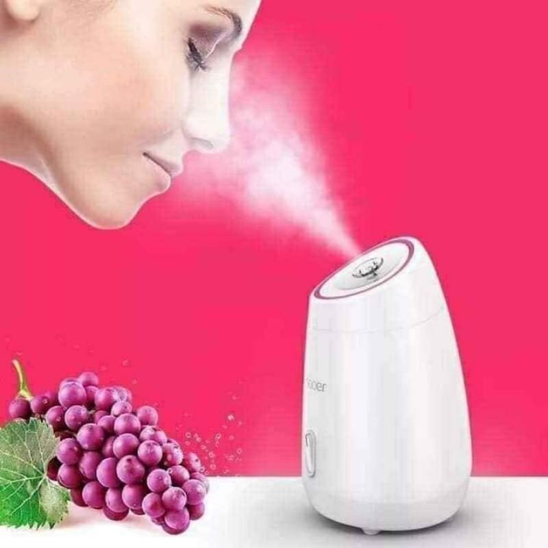 Máy xông hơi mặt hoa quả tươi tiện lợi