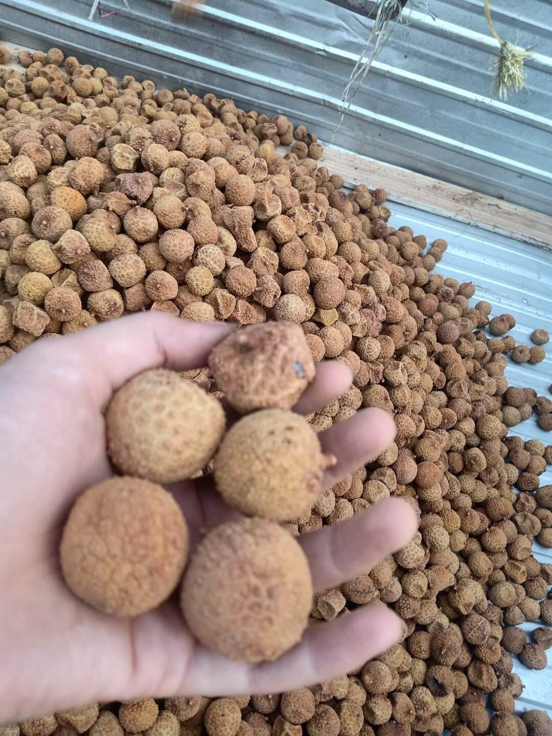 Vải Sấy Khô Lục Ngạn Bắc Giang 475k/5kg loại 1