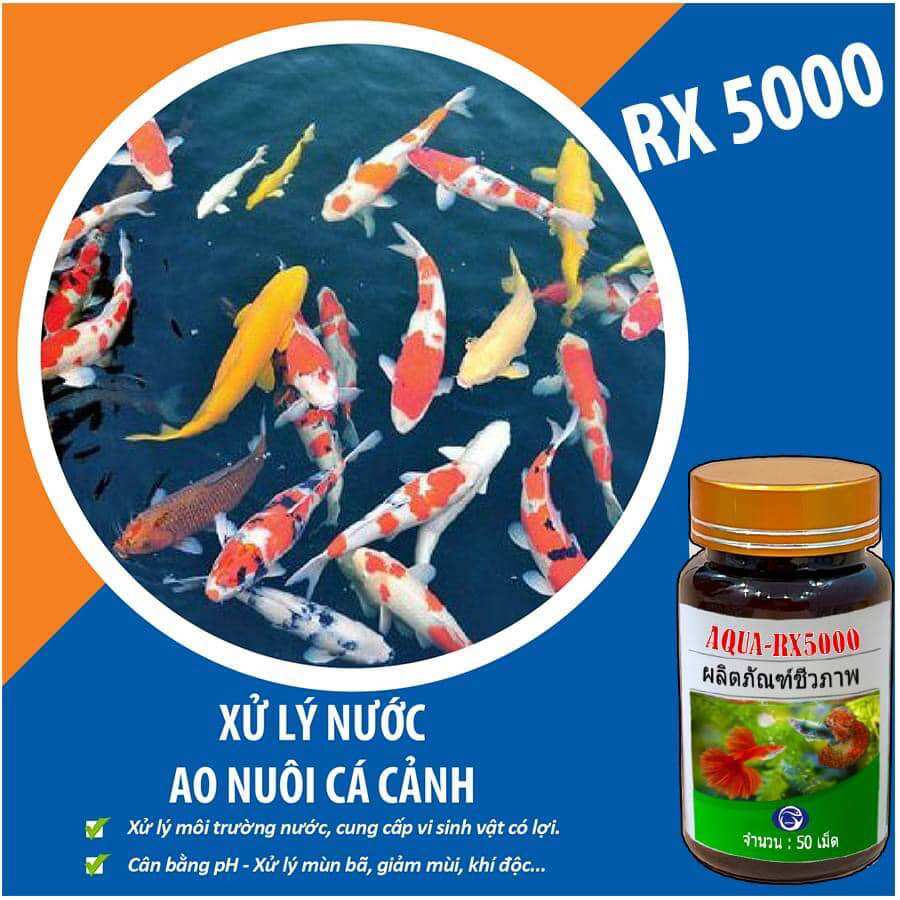 Aqua RX 5000 - vi sinh 50 viên nén Thái Lan 365 ngày không cần thay nước (HÀNG CÔNG TY)