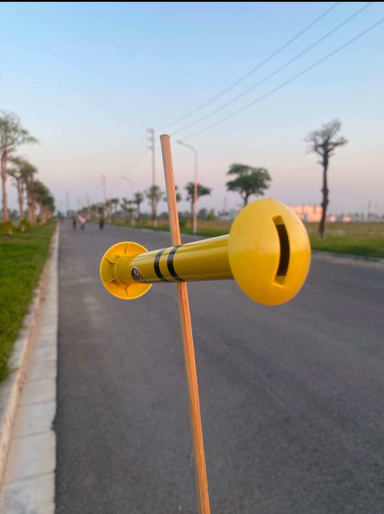 Single Kite Flute D34