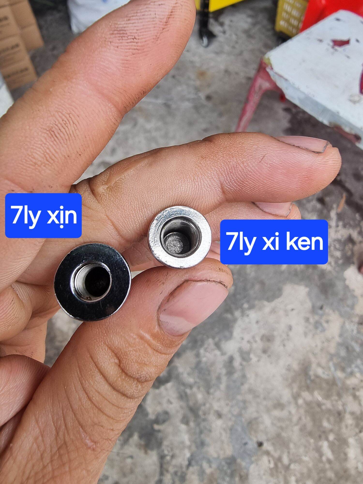 Ốc pô 7 ly (loại xịn) (10 con)