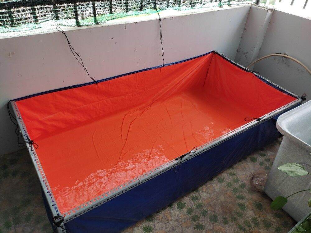 Hồ ,bể bạt nuôi dưỡng cá cảnh