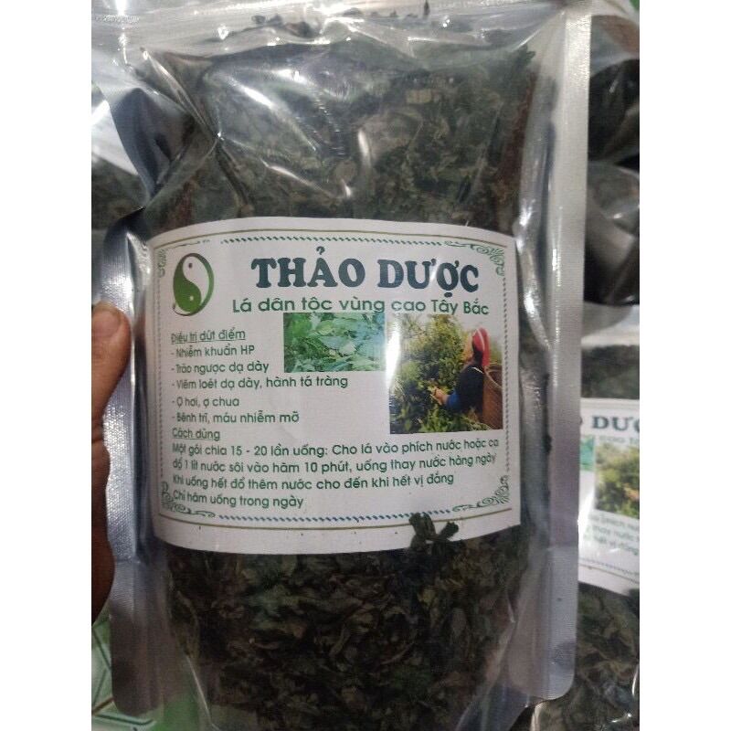 Lá đắng rừng tốt cho người bị dạ dày.đường ruột.mo mau sỏi thận..
