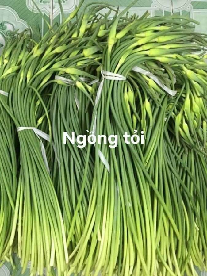 Rau ngồng tỏi đ&agrave; lat(1kg)