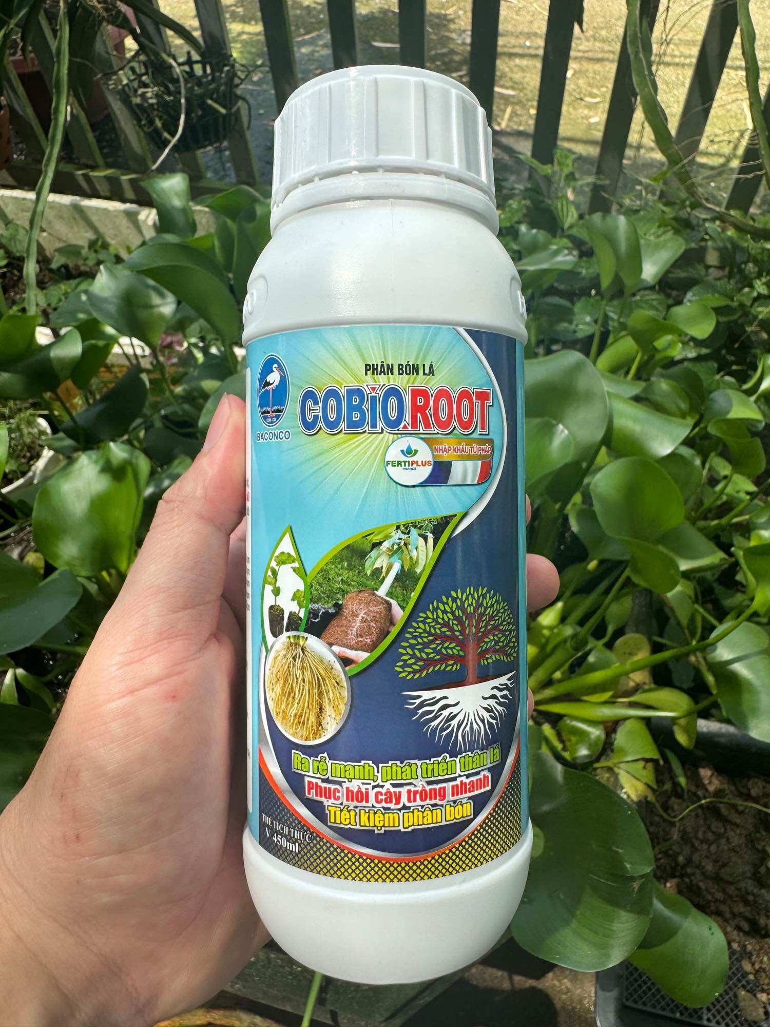 Phân bón lá cobio root nhập khẩu từ pháp