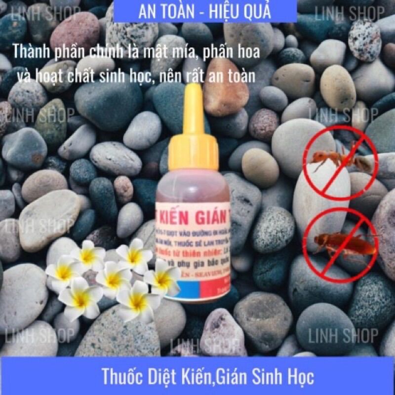 Thuốc diệt kiến gián sinh học