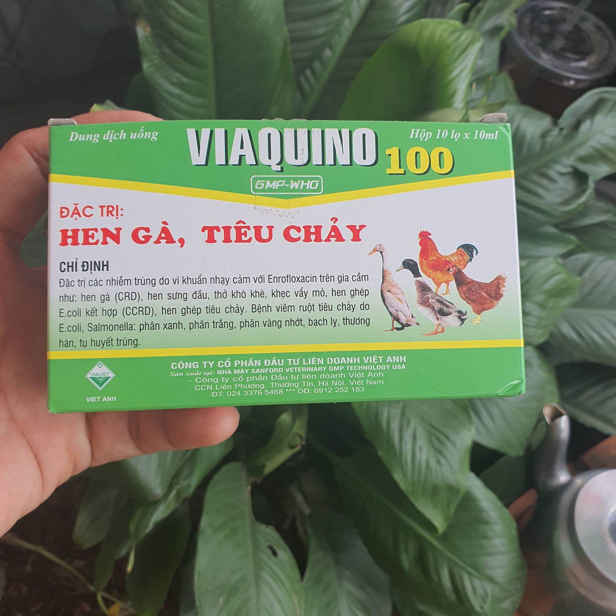 Dung dịch uống Viaquino 100 chai 10ml. Đặc trị: gà rù, gà toi, phân xanh, phân trắng