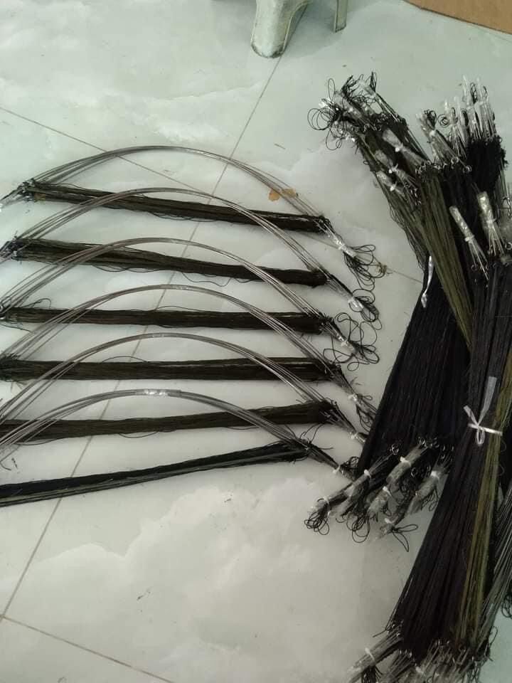 10 cung bẫy chim cút