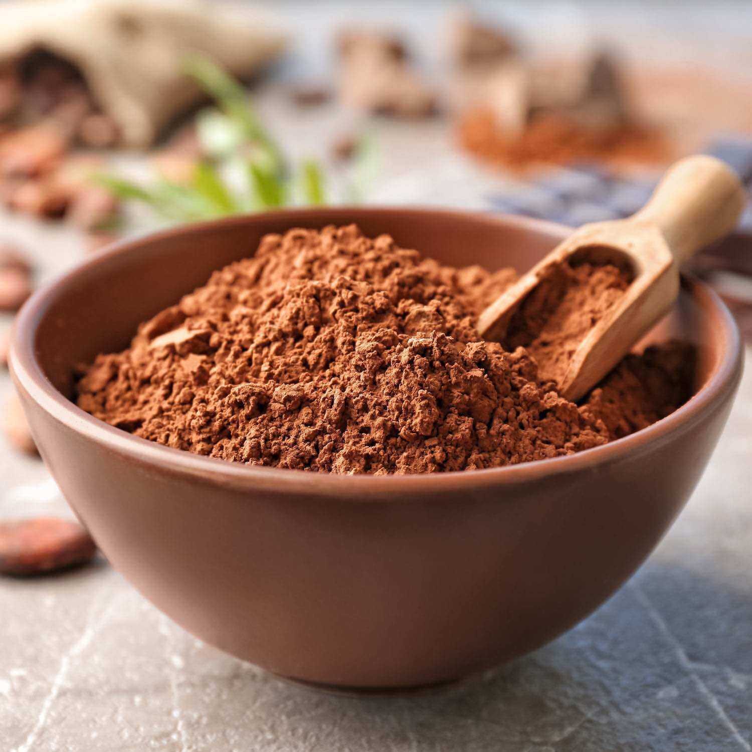 Bột Cacao Nguyên Chất Đắk Lắk - Lon 500G