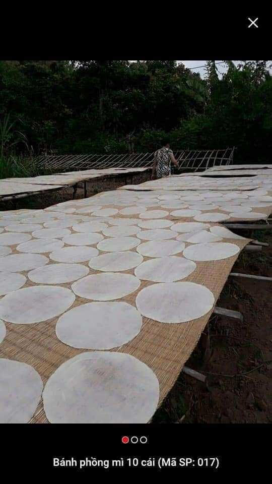 10 cái bánh phồng mì chưa nướng