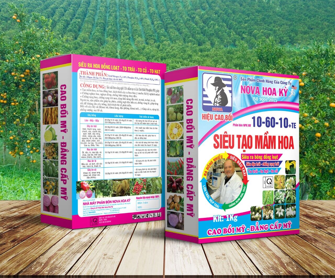 10-60_10 nova hoa kỳ, siêu tạo mầm hoa . 110₫