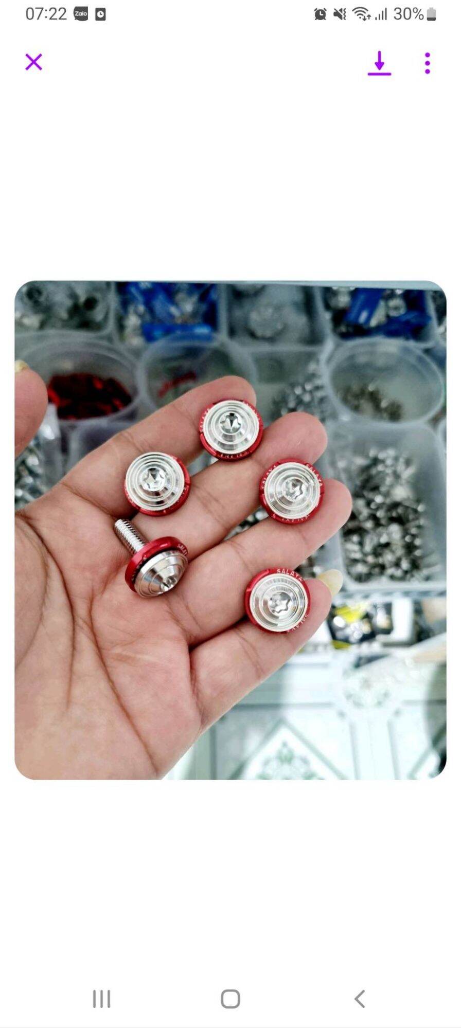 [HCM]ốc áo sirius (bộ 20con)