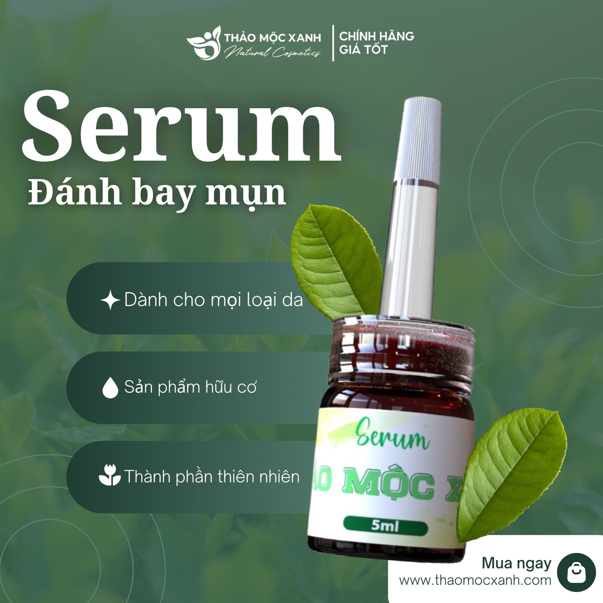 5 lọ thảo mộc xanh 5ml
