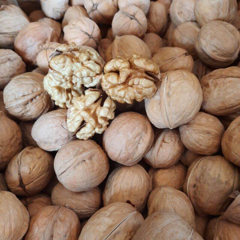 Quả óc chó Mỹ loại mỏng vỏ _Túi 500g