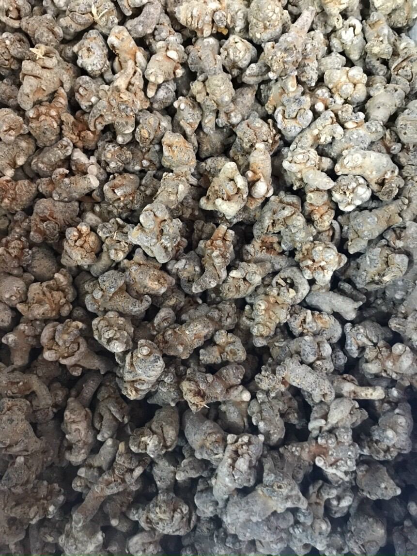 Củ Tam Thất Bắc 500gr Loại 52củ/1kg