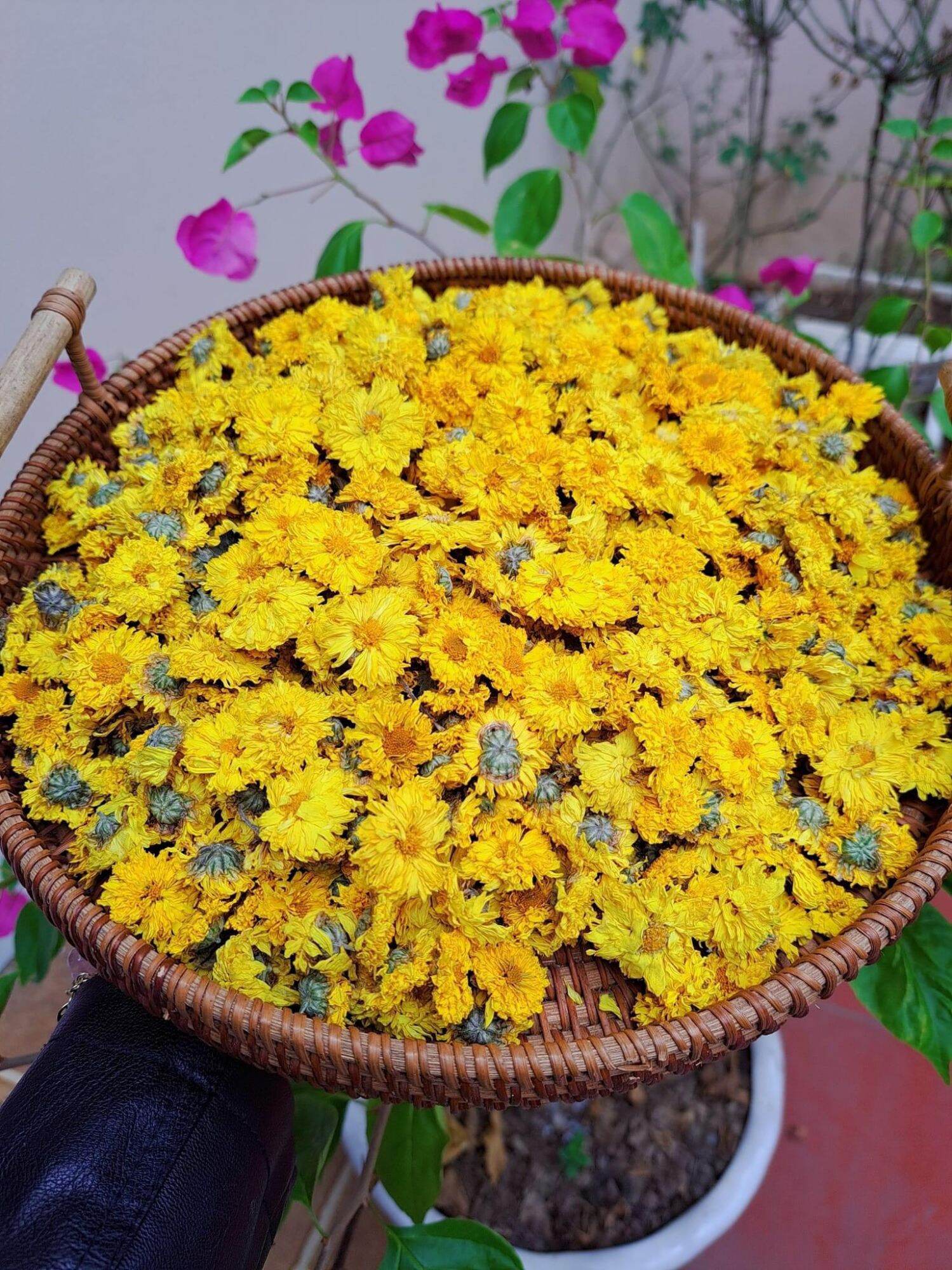 HOA CÚC SẤY KHÔ