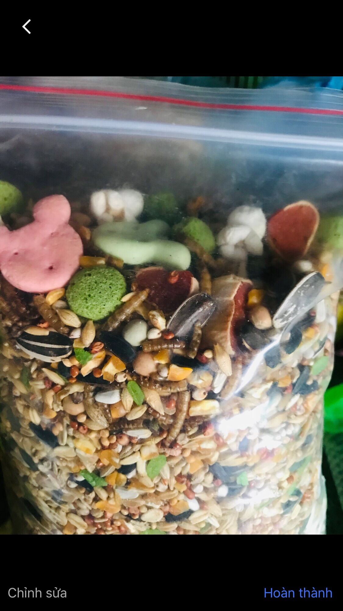 800g Thức ăn đặc biệt cho Hamster hơn 30 thành phần