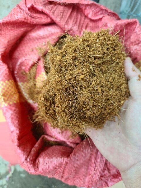 500gr sơ dừa làm vườn
