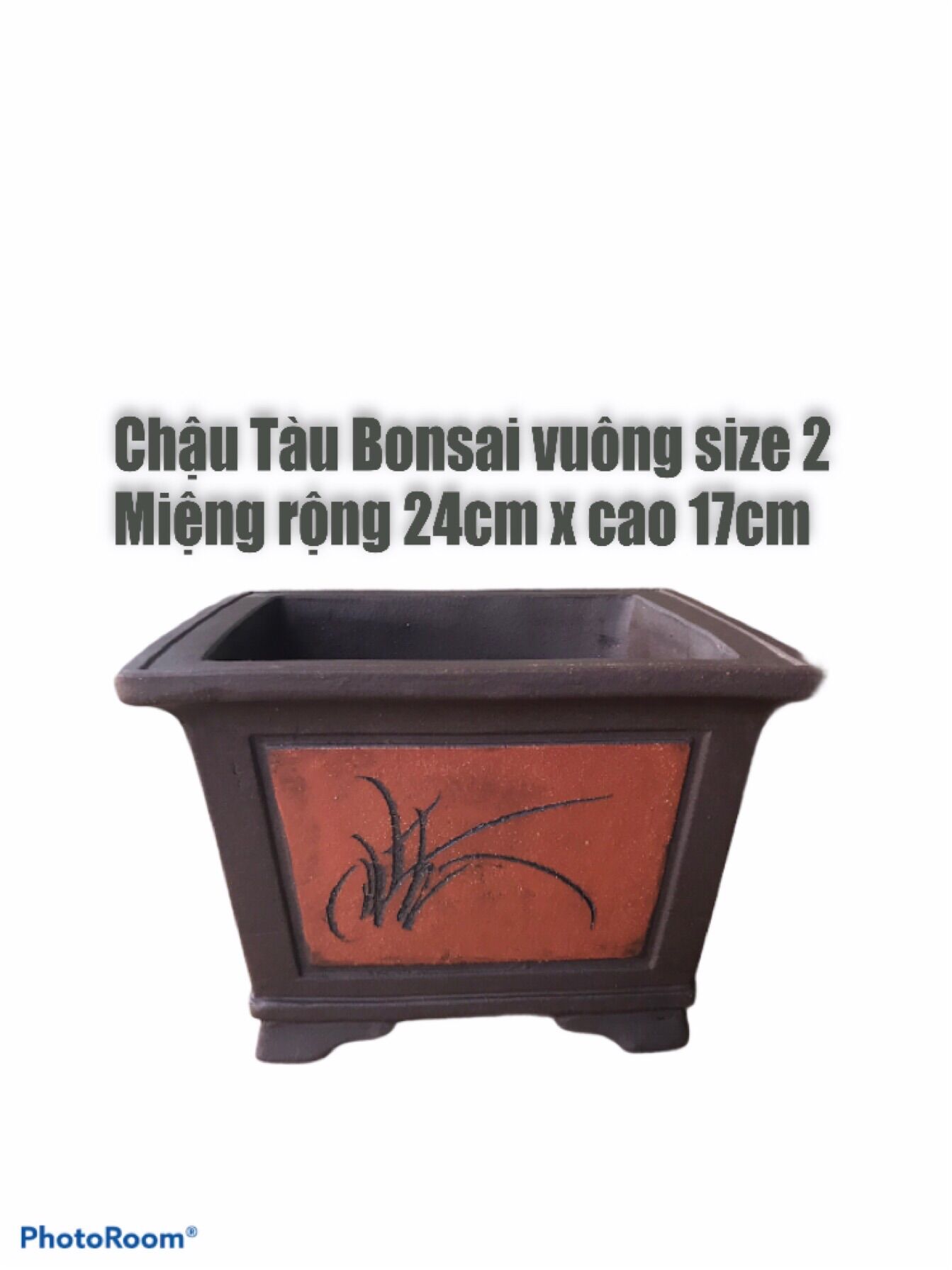 Chậu Tàu Đất nung bonsai