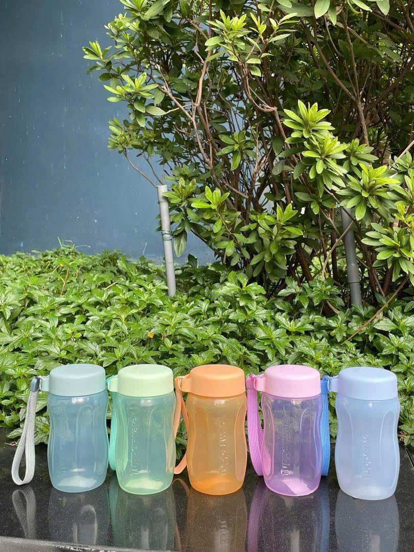 Bình Nước Eco Bottle Gen II 310ml, có dây bình