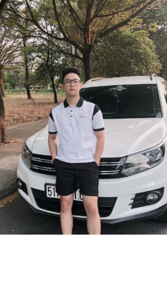 áo thun polo nam phối cao cấp
