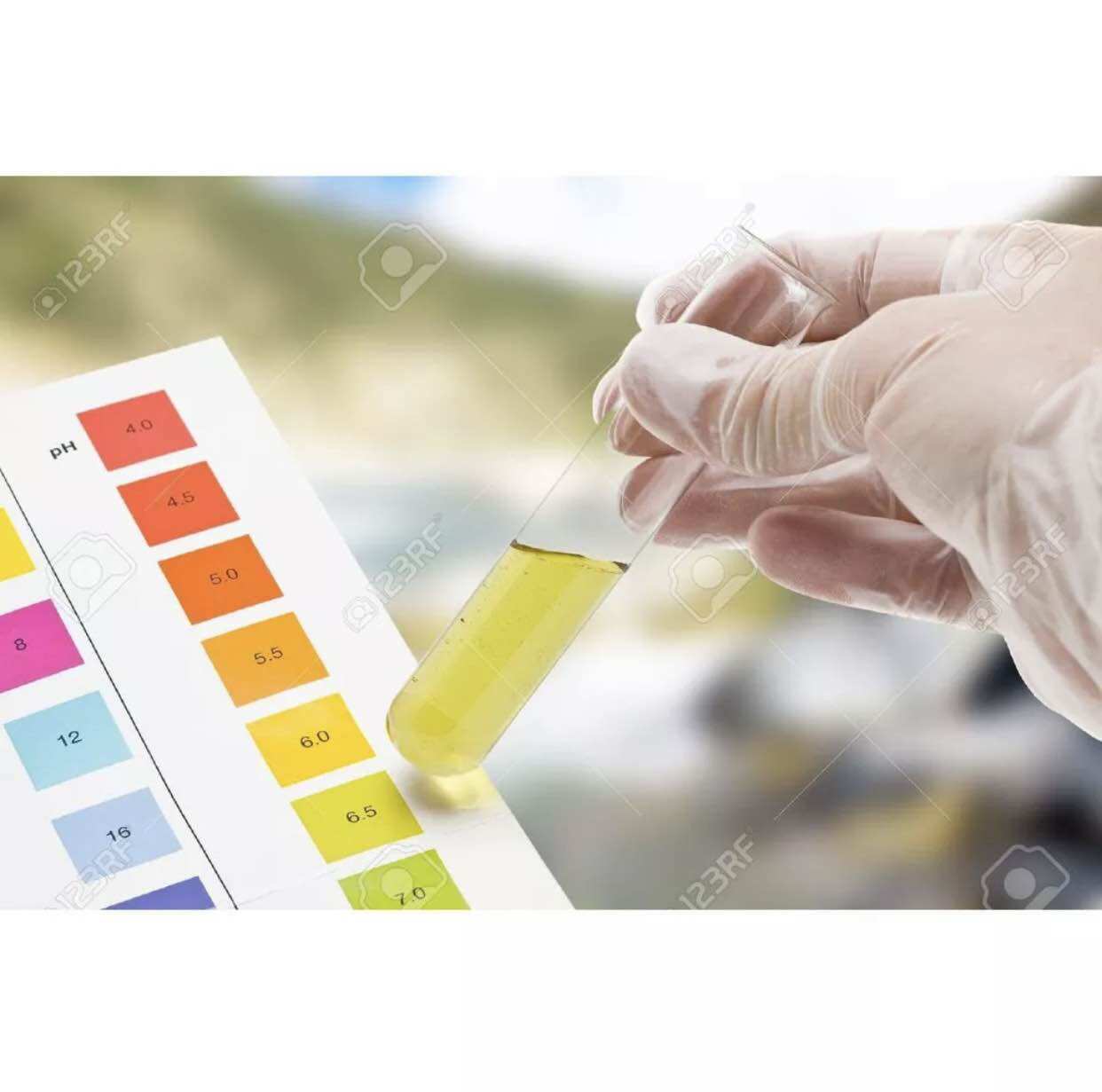 Giấy Quỳ Tím Thử Độ pH Thang Đo Từ 1 Đến 14 - 1 tép 80 miếng