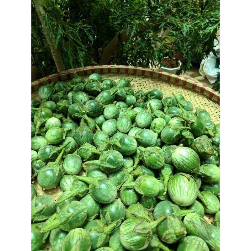 Trái Cà đắng Đặc sản Tây Nguyên (1kg) [ TƯƠI NGON, SIÊU ĐẮNG ]