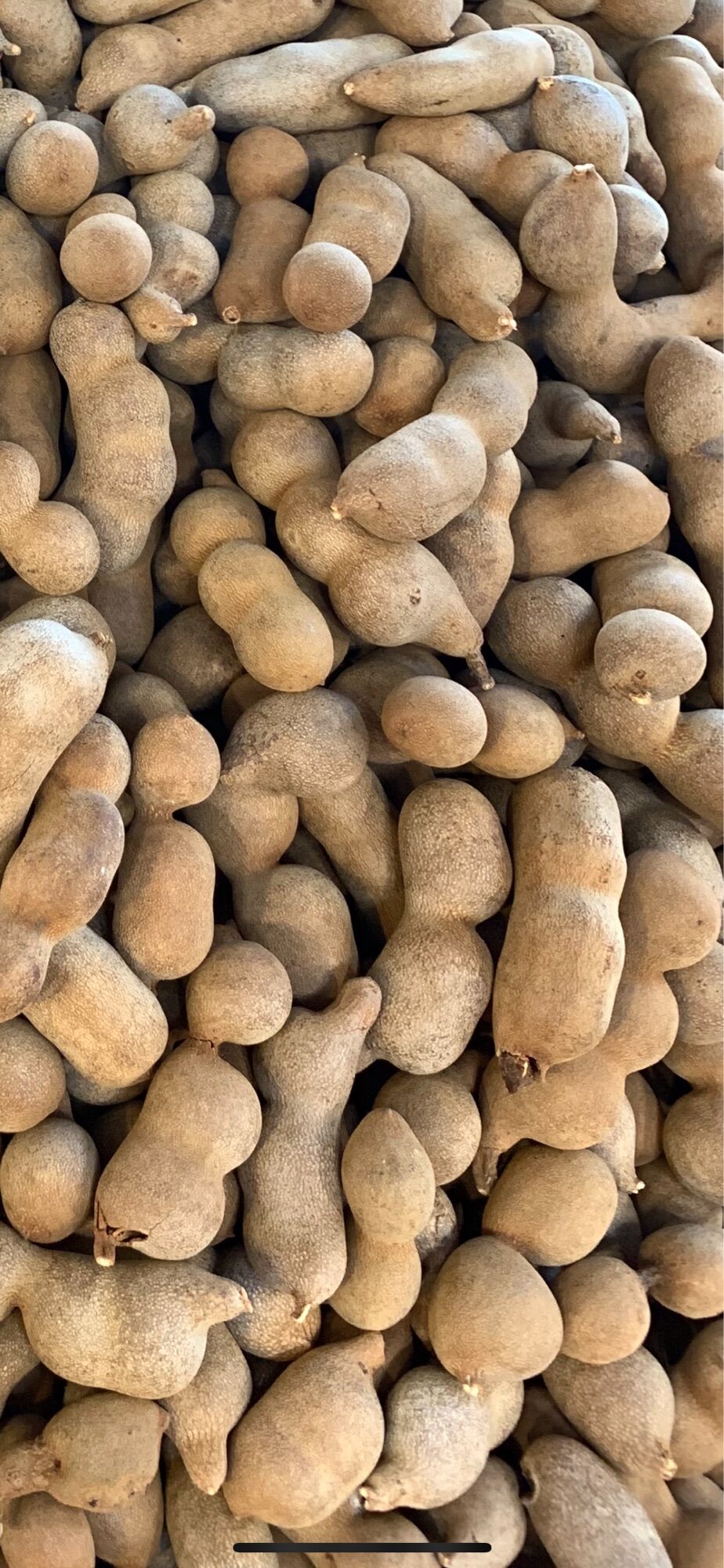 1kg Me Thái Thái Ngọt ( Trái Như Hình )